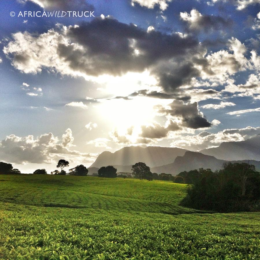 Africawildtruck Eco Camp & Lodge Mulanje Exterior foto