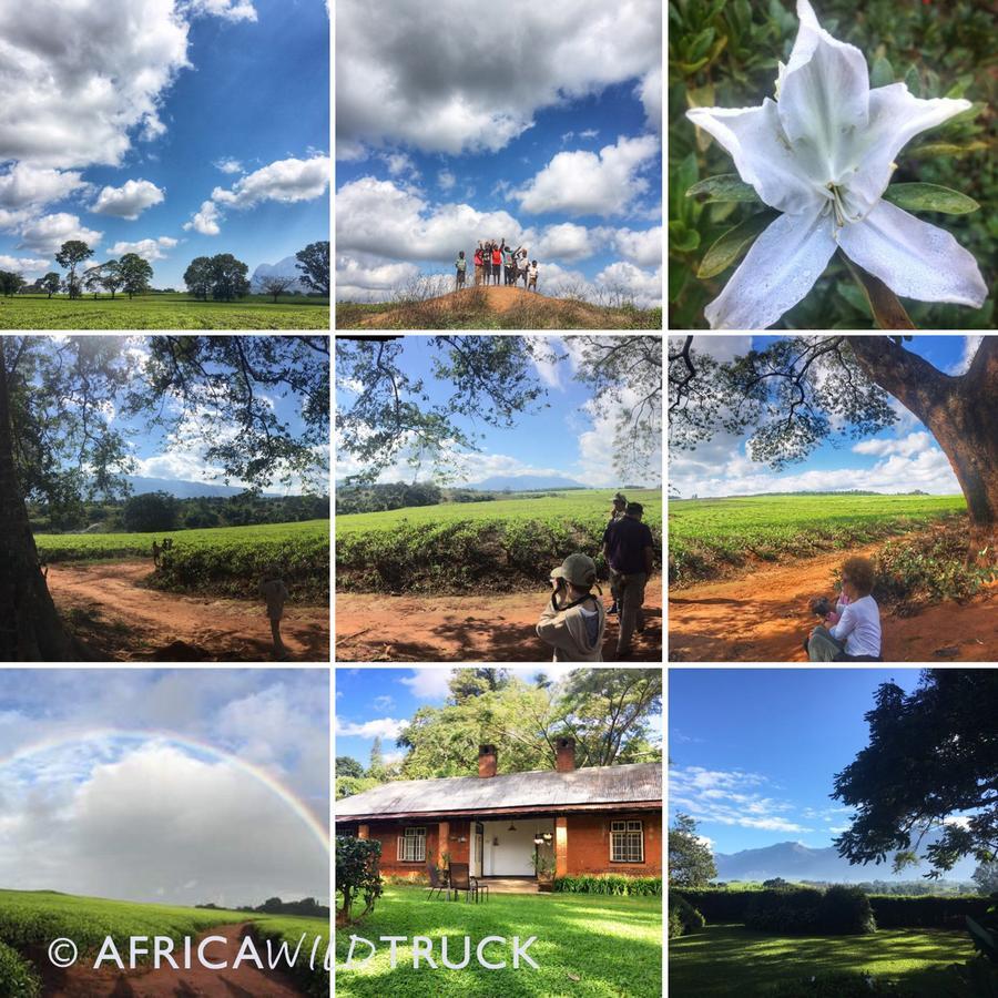 Africawildtruck Eco Camp & Lodge Mulanje Exterior foto